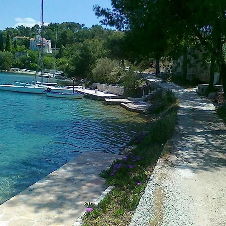 Apartman Vlado *