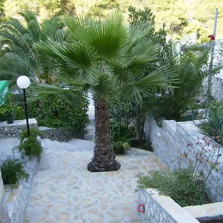 Apartman Vlado *