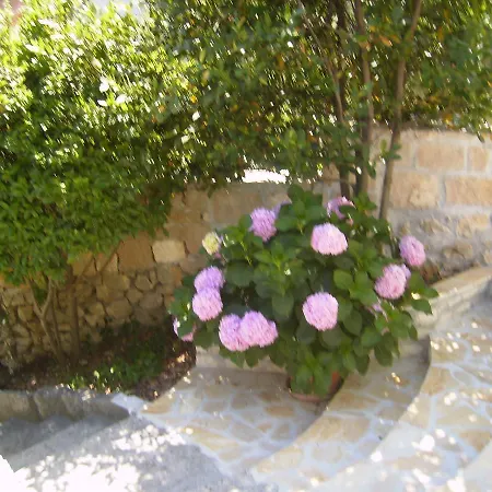Apartman Vlado