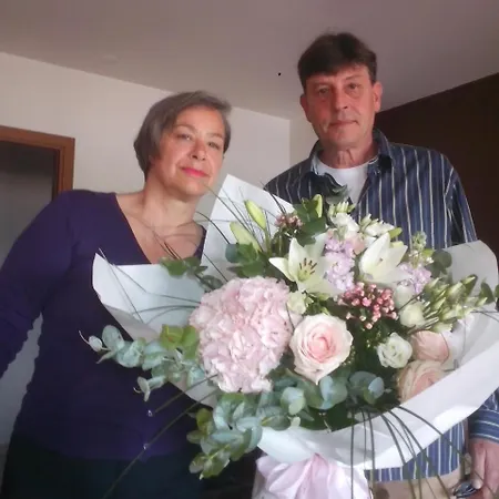 Apartman Vlado *
