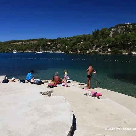 Apartman Vlado Milna (Brac)